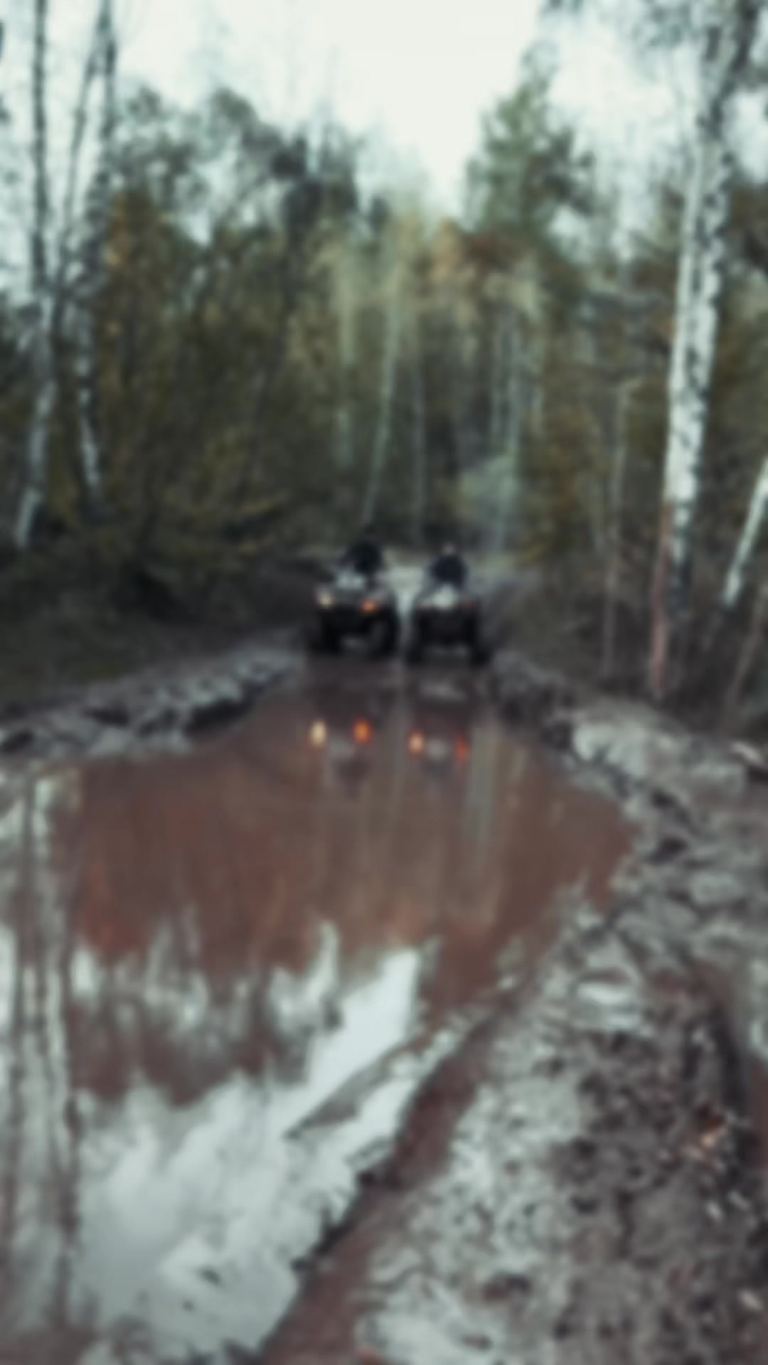 @mud_queen_