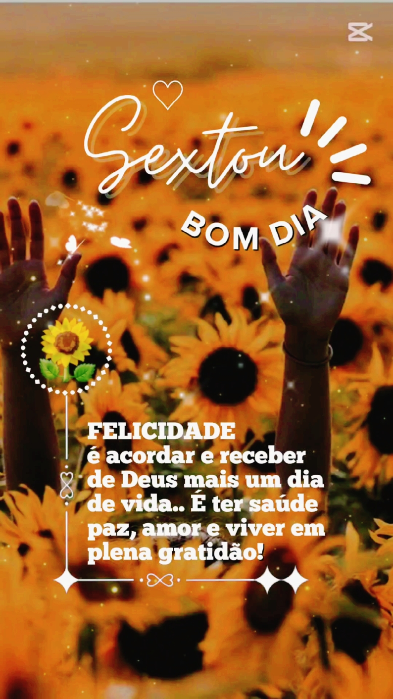 @@surtadinha