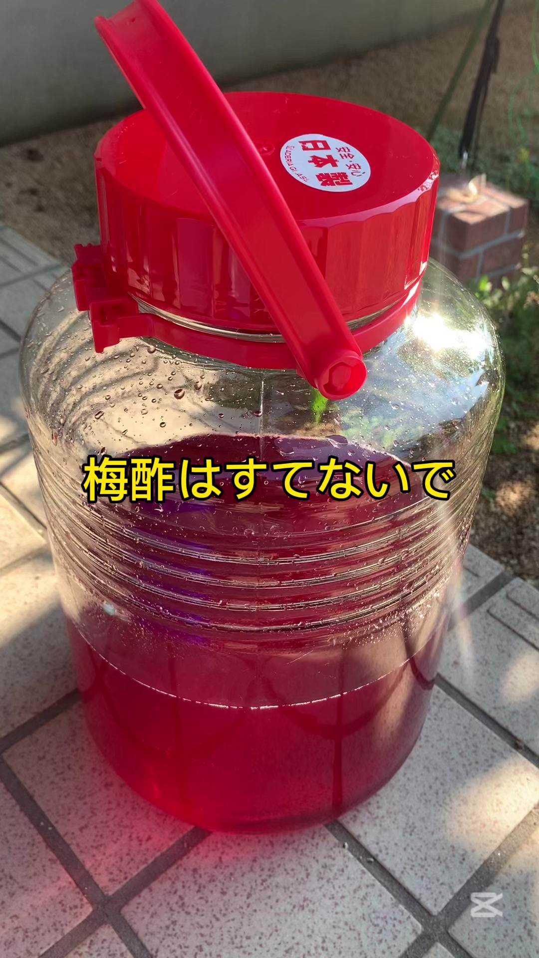 @マルン