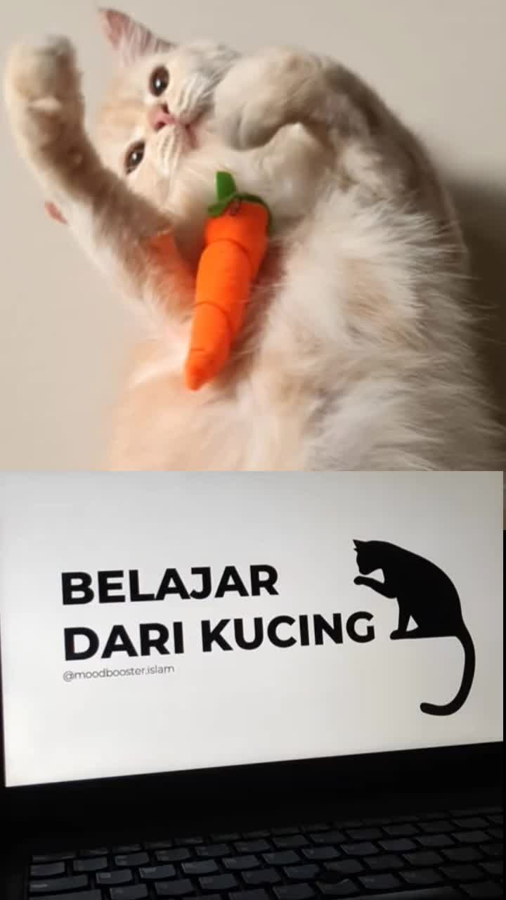 @𝓝𝓪𝓭𝓲𝓷𝓮 𝓛𝓿