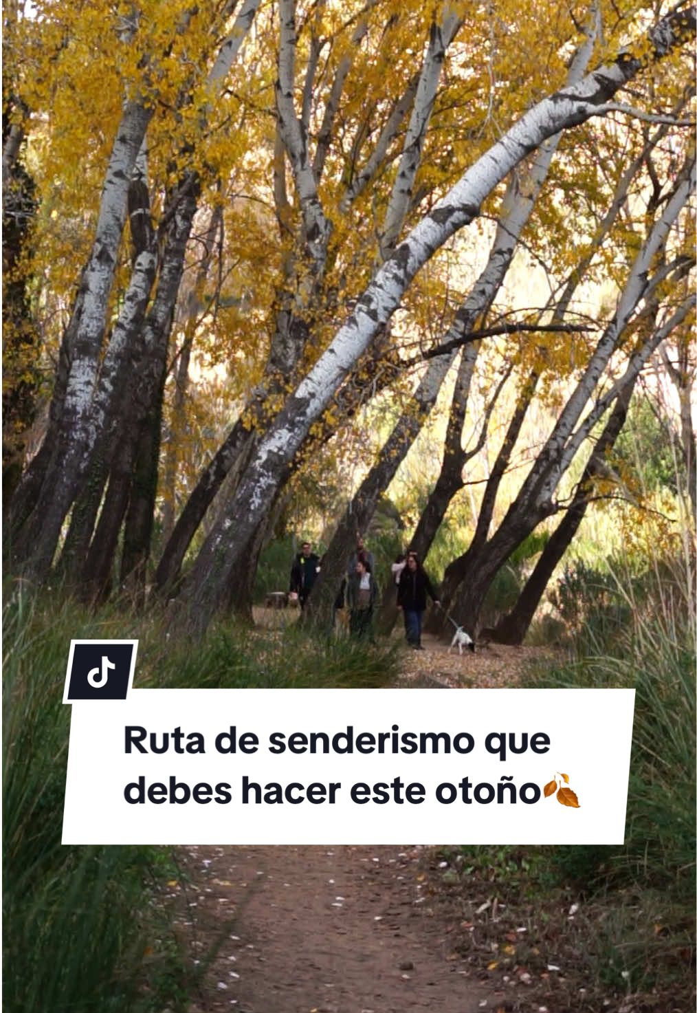 @Karyna & Pedro