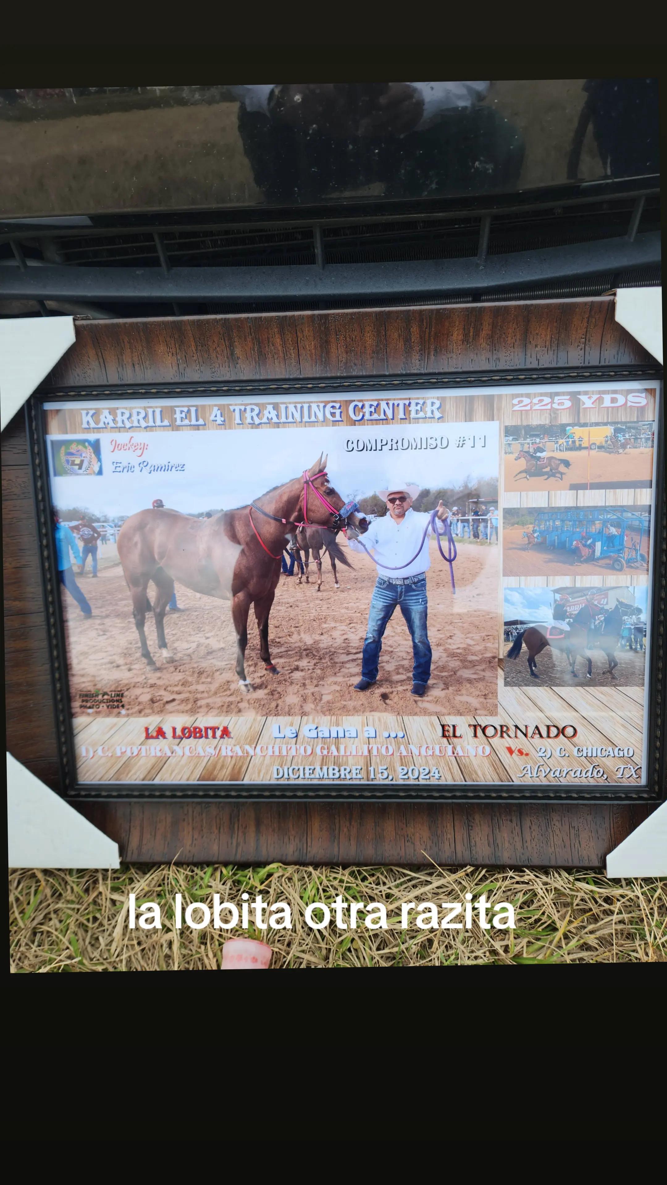 @Pablo Anguiano275