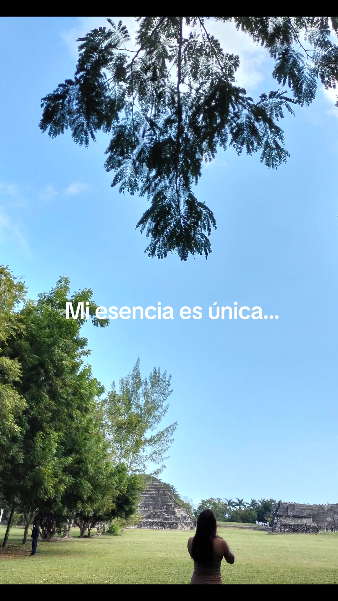 @🌟 S(c).🍒⚖️🦉🧿