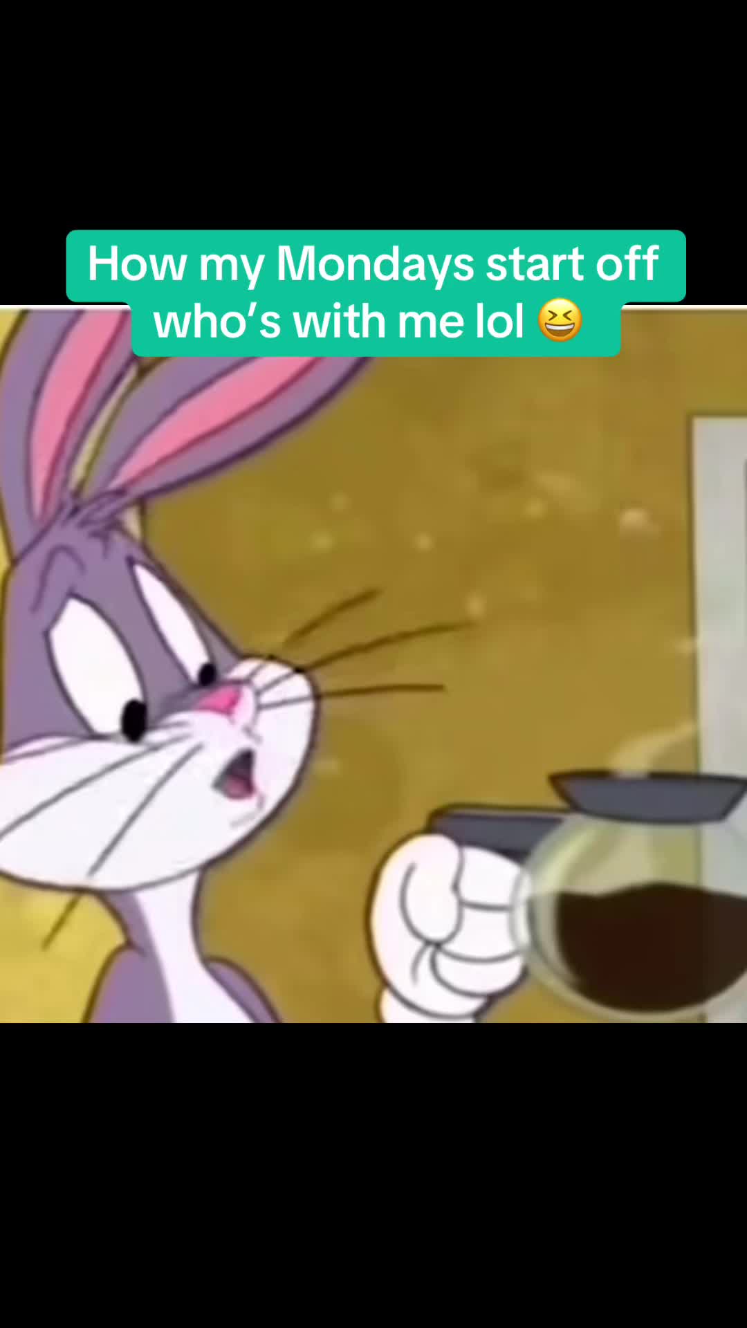 @Cat464