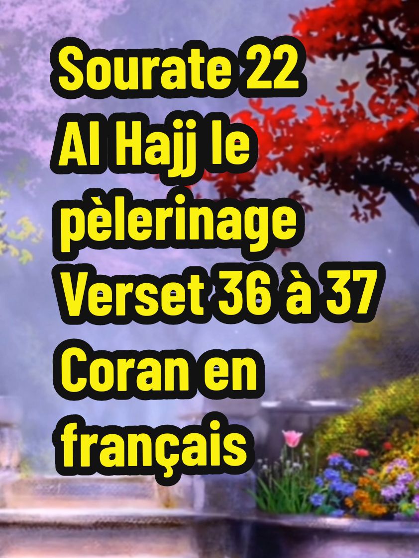 @Islam ma vie