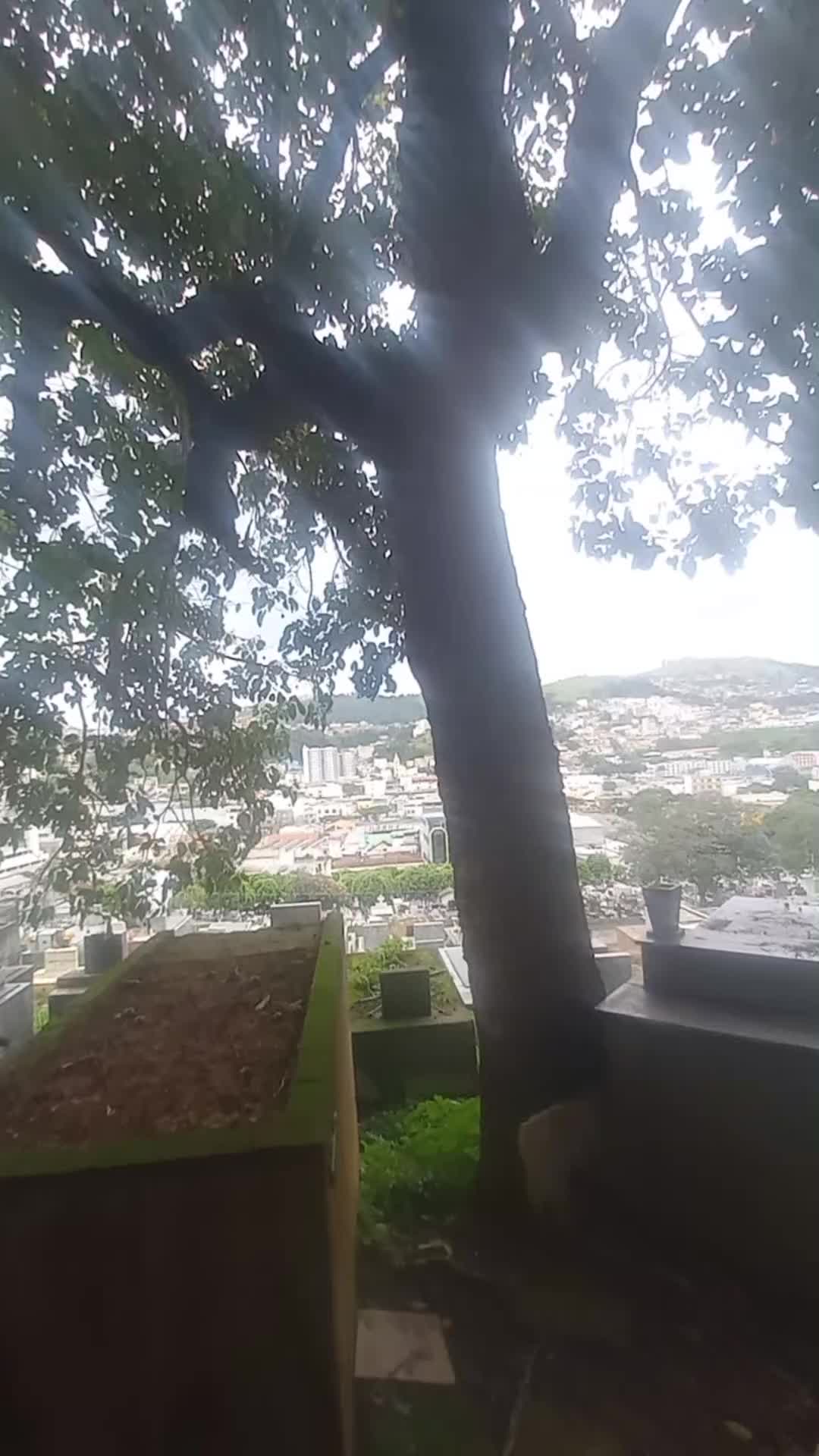 @MAURO MAURINHO ALVES