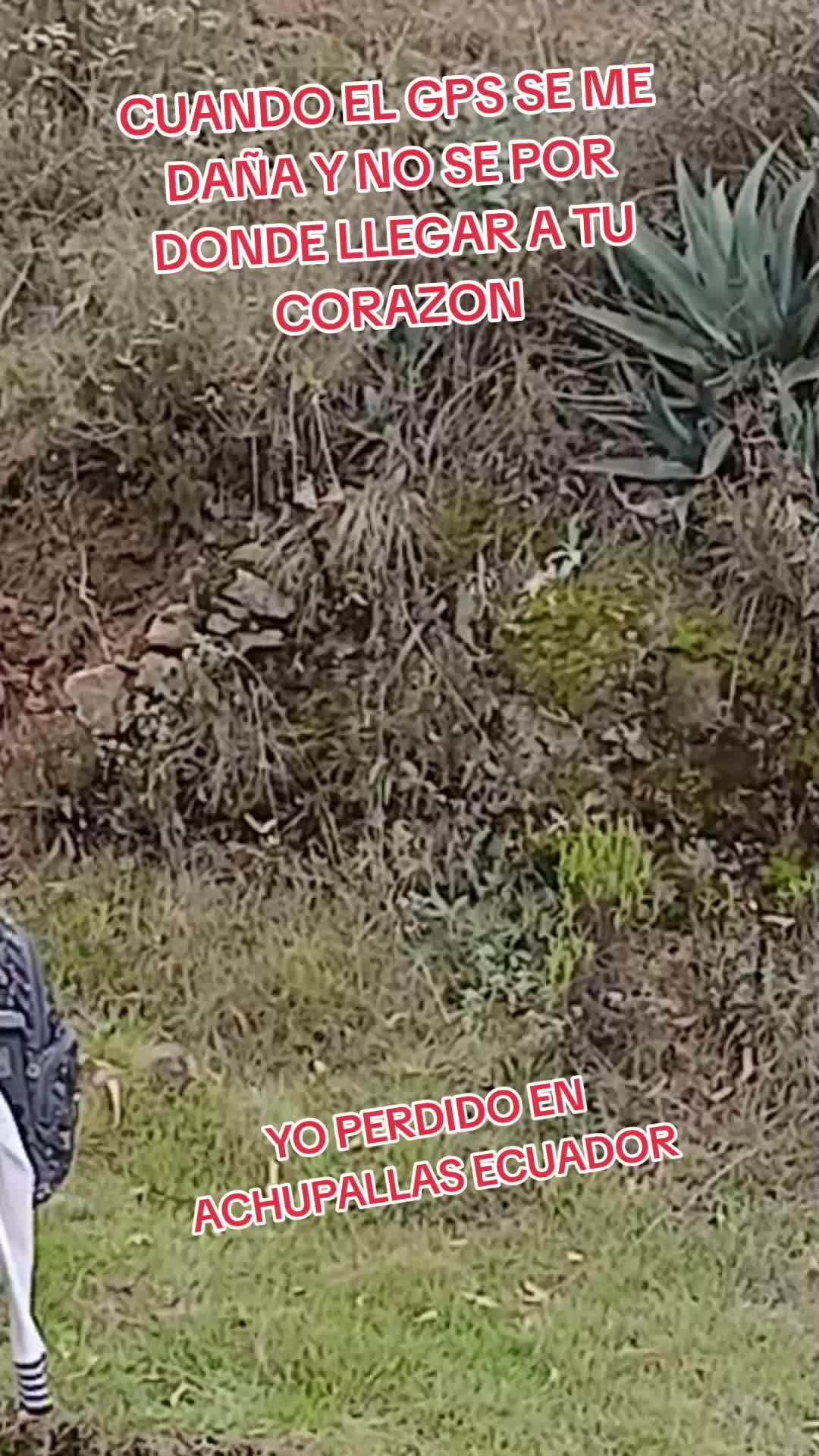 @Luis Escala