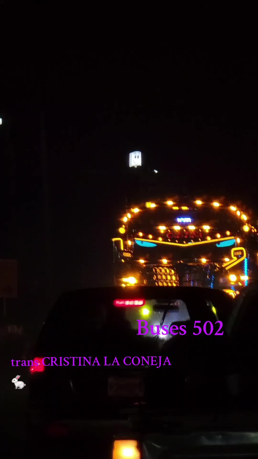 @BUSES 502