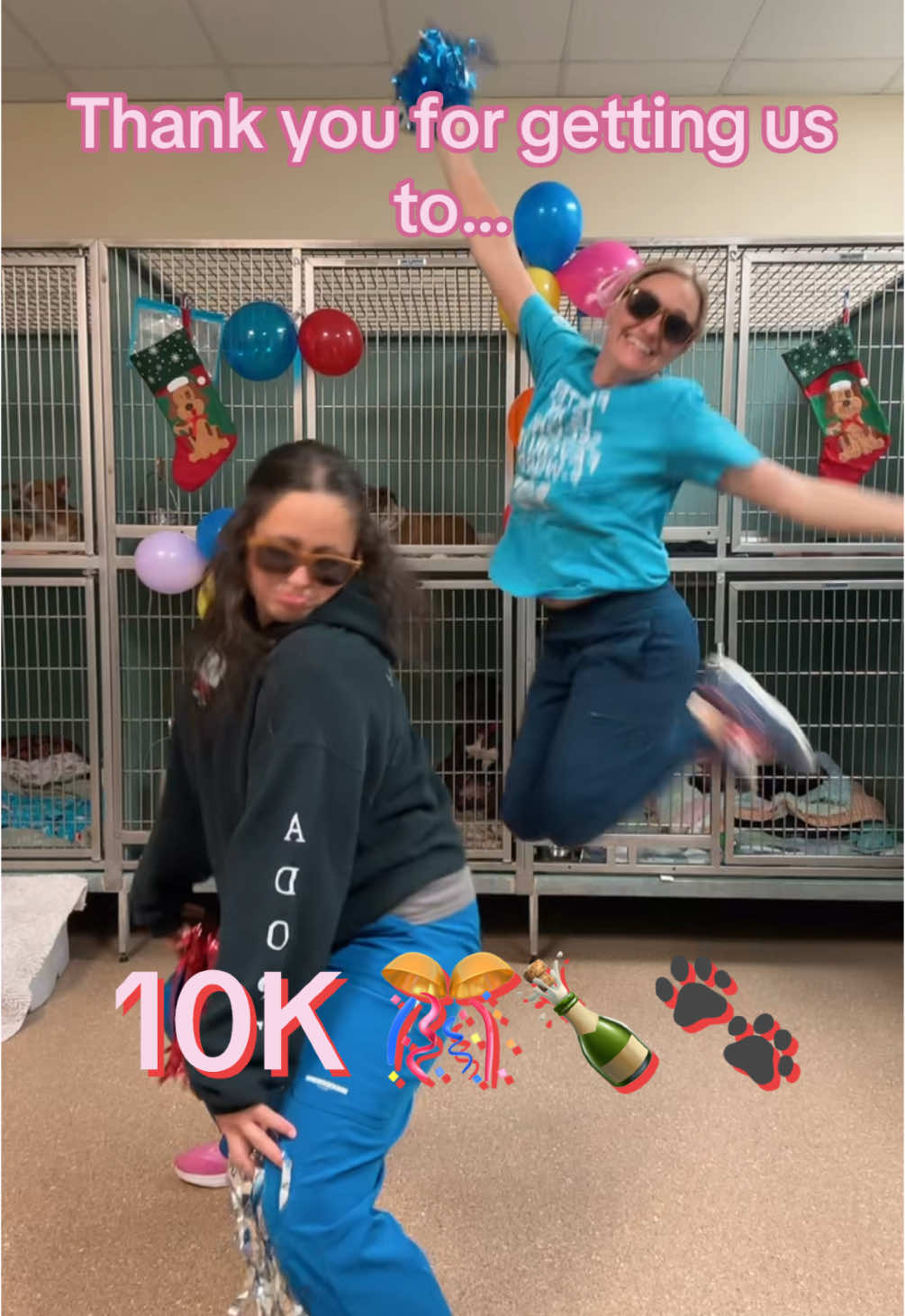 @2vettechs