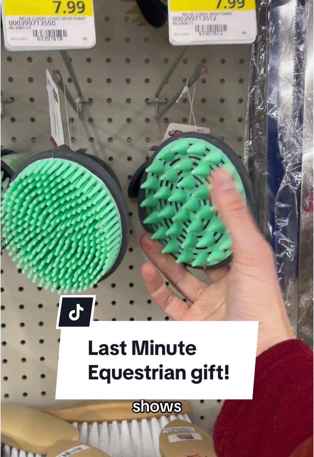 @yourhorseandponyleader