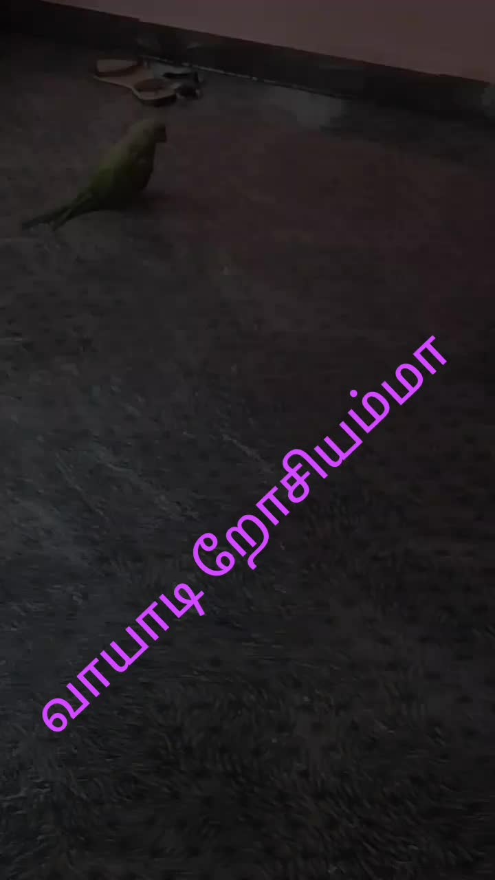 @உண்மைக்கு+ஒருவன்(மு/வாய்க்கால்