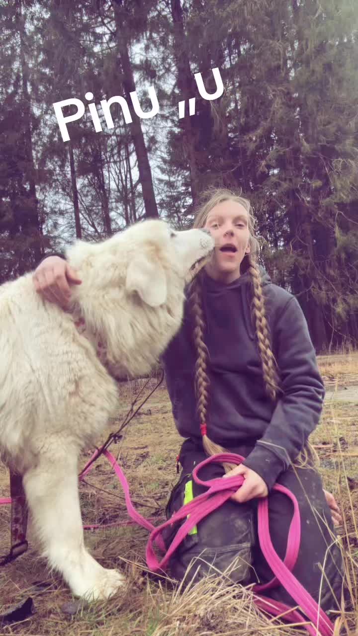 @HafiHorse2