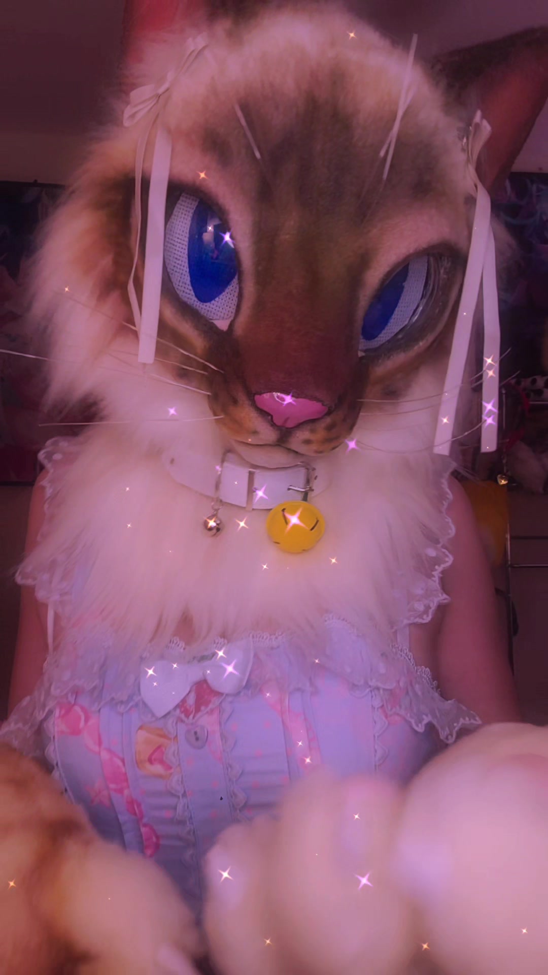 @˖&deg;SmittenKitten⋆˚