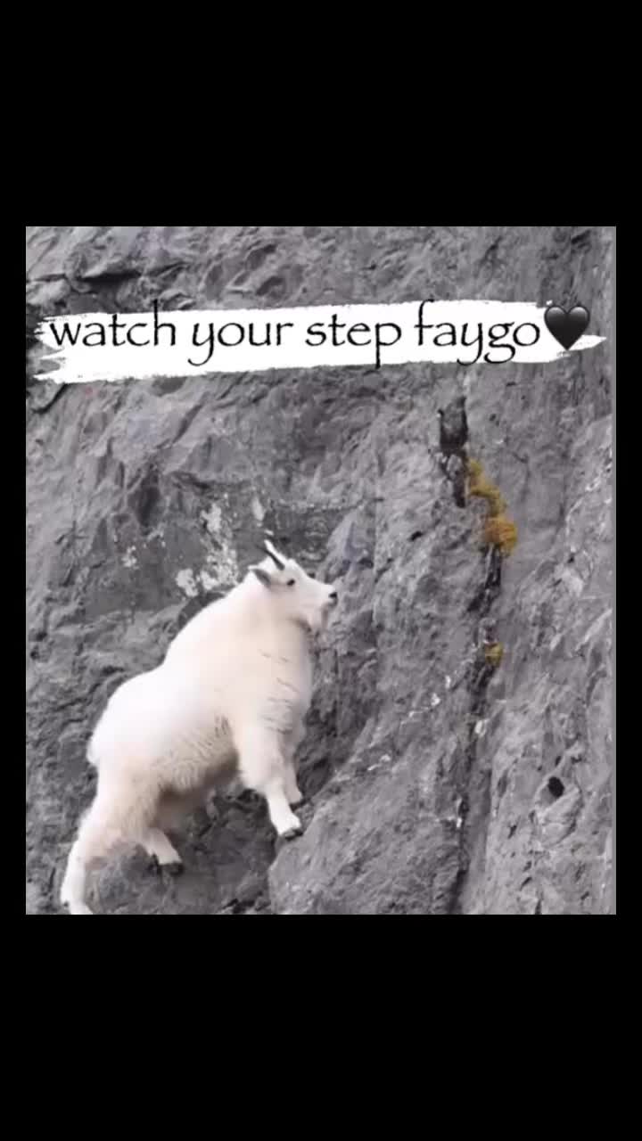 @roadrage