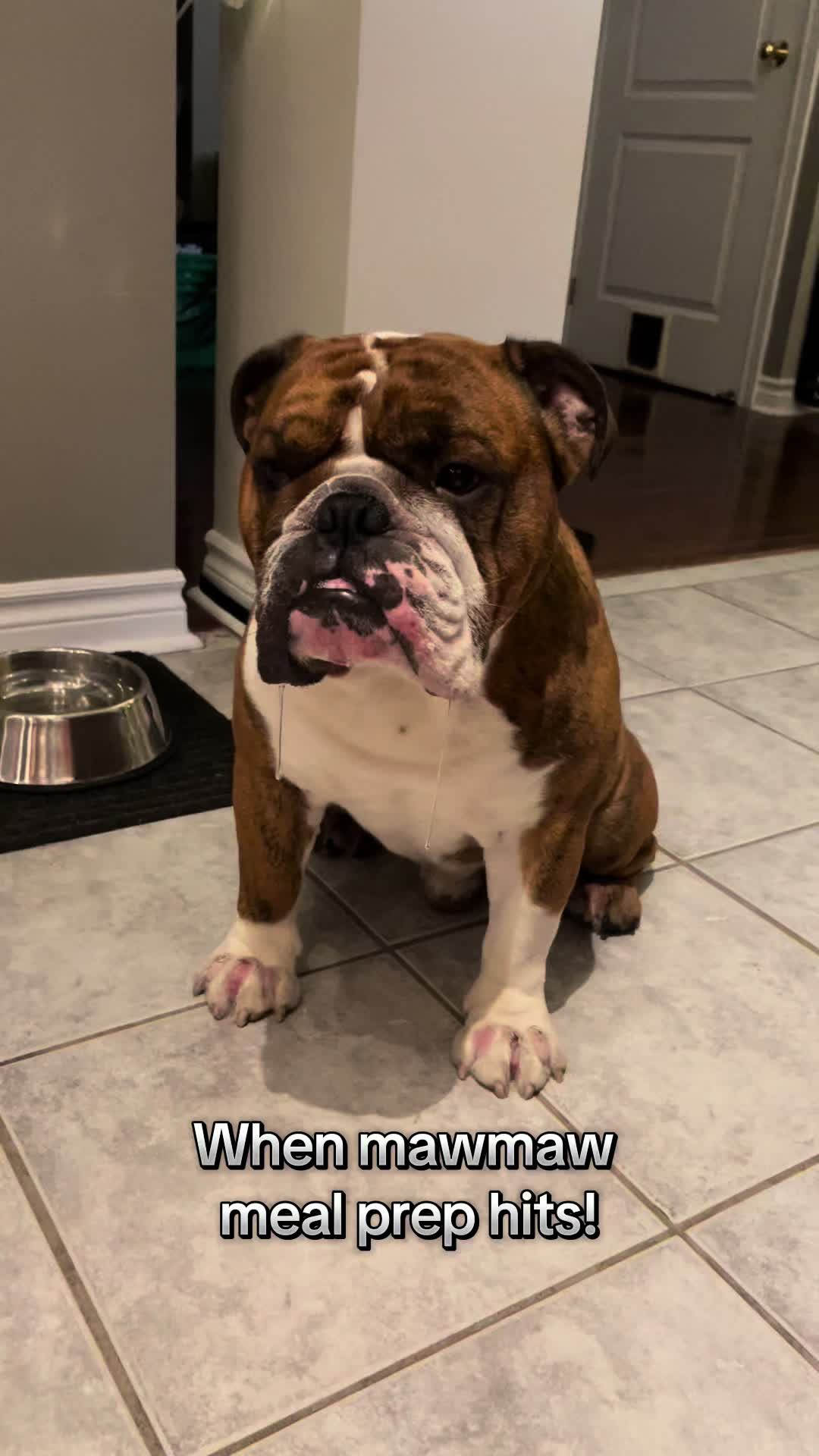 @Vinny The Bulldog