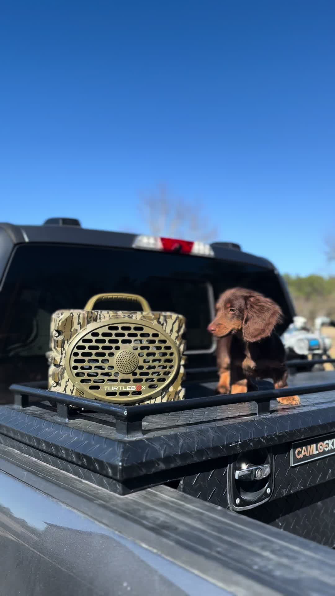 @Zane.scott