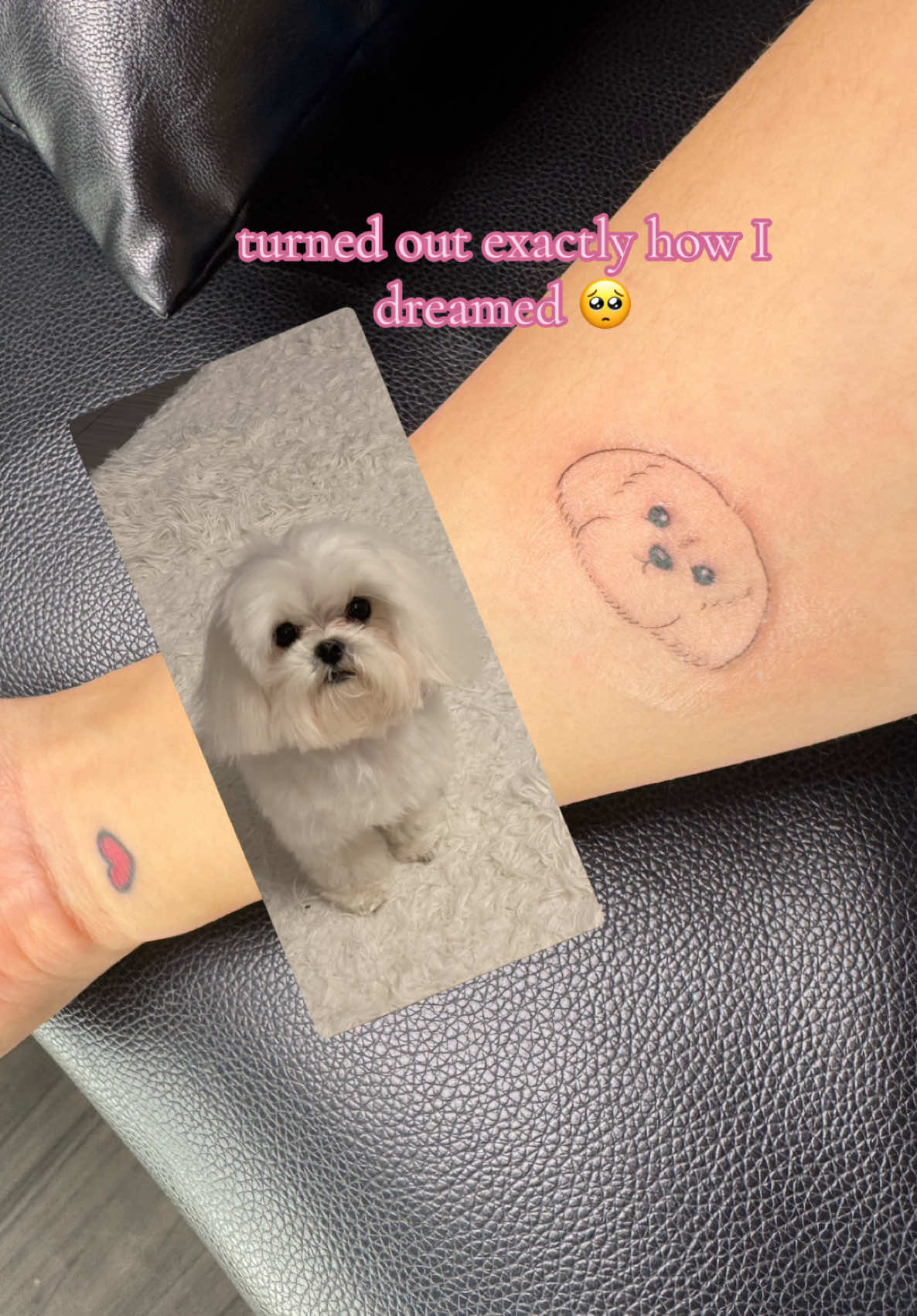 @stelee 🌙🤍