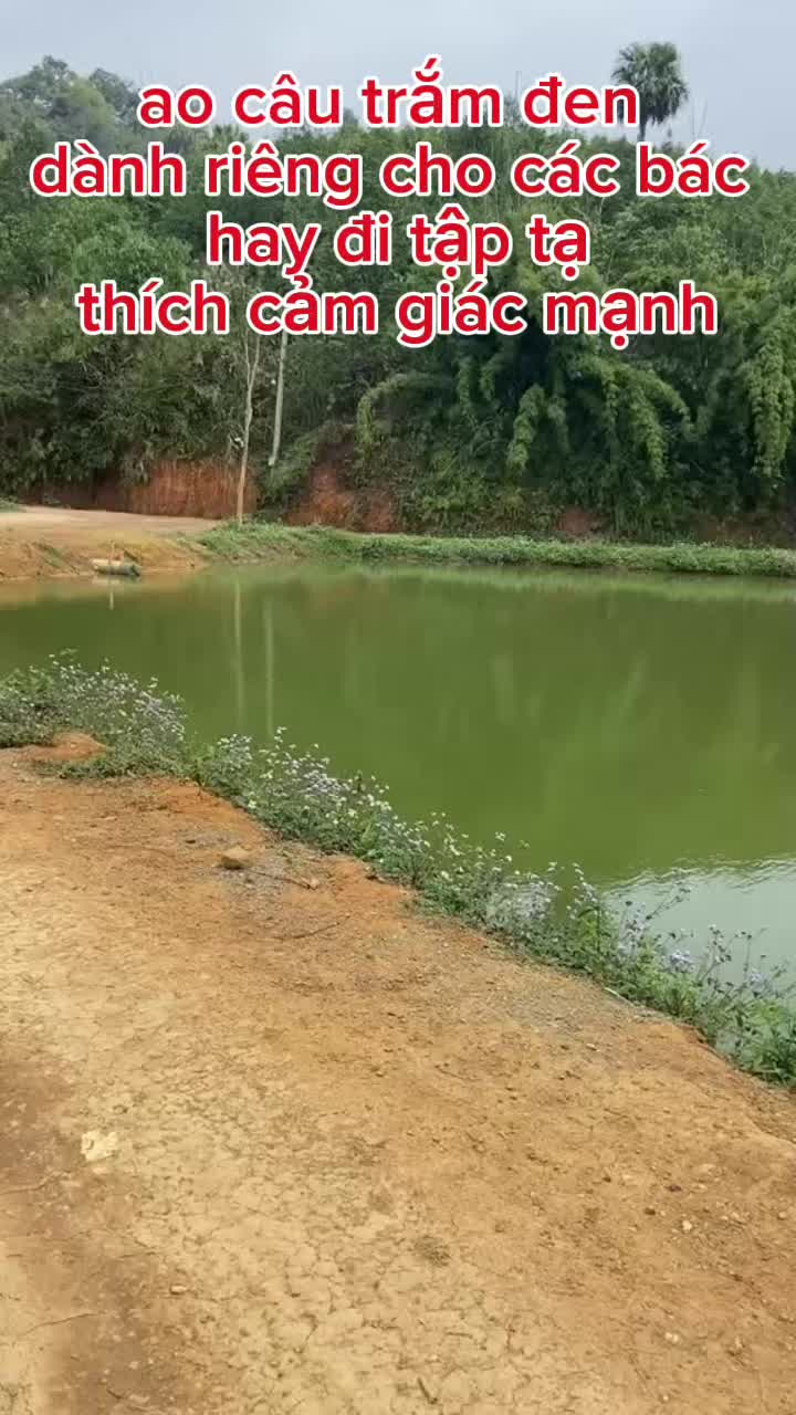@hoangnga