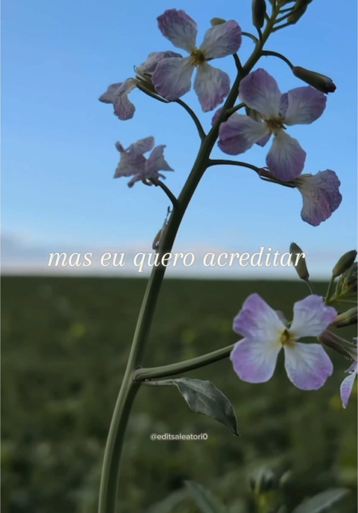 @𝔸𝕝𝕖𝕒𝕥𝕠𝕣𝕚𝕠 ✰