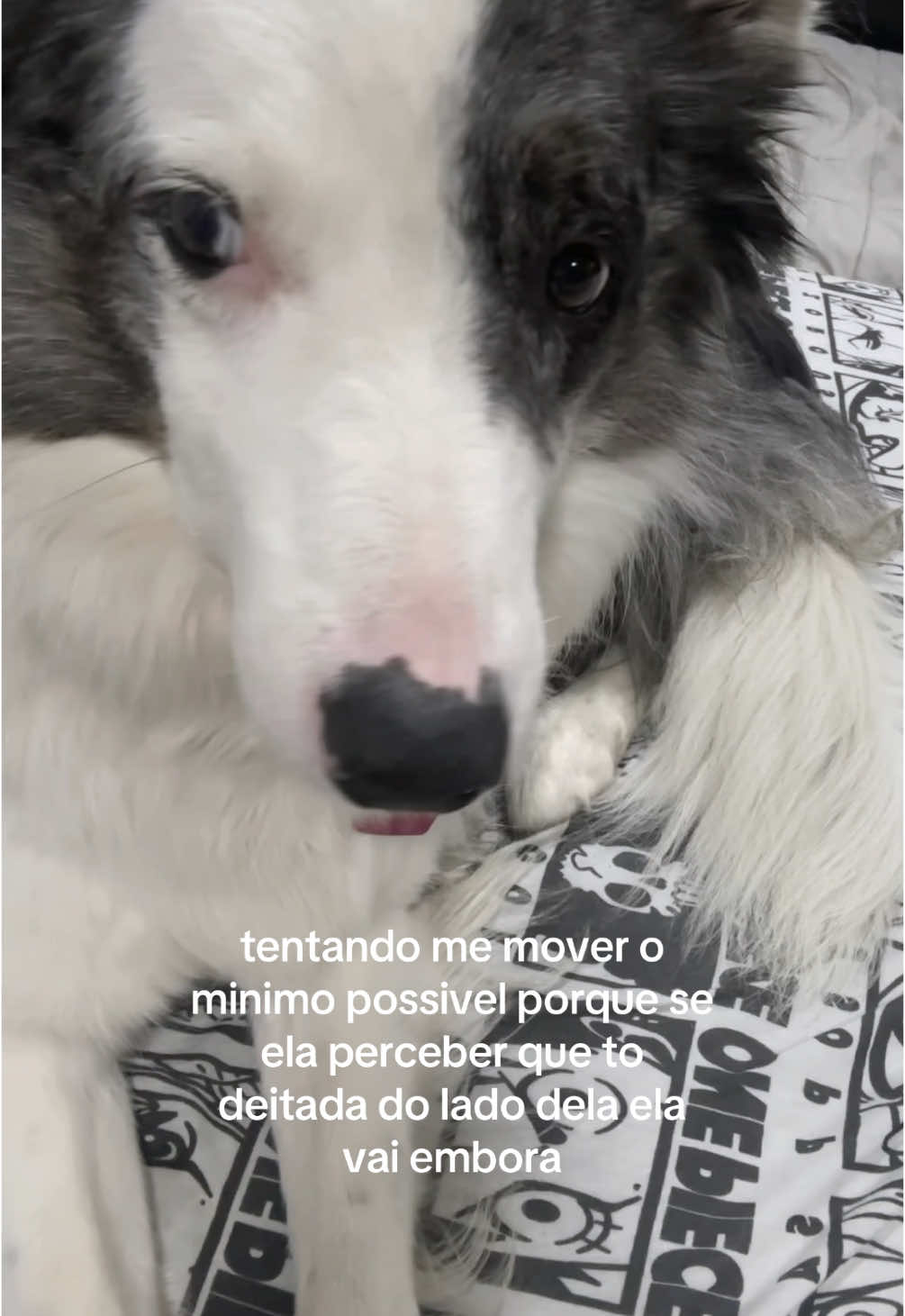 @luana