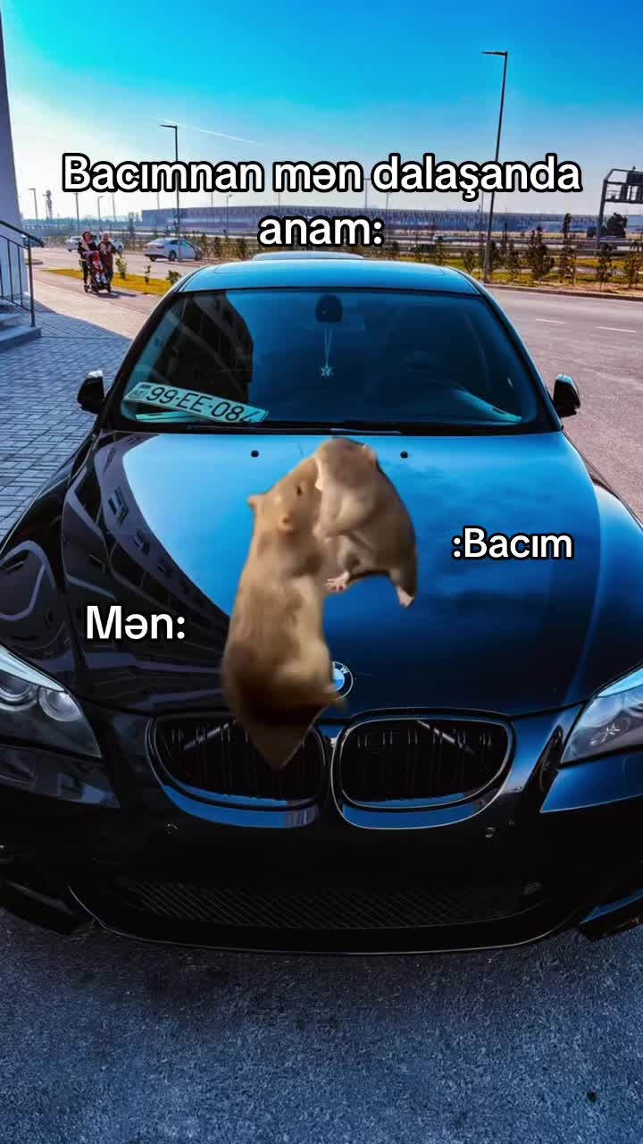 @DİMA ✅️