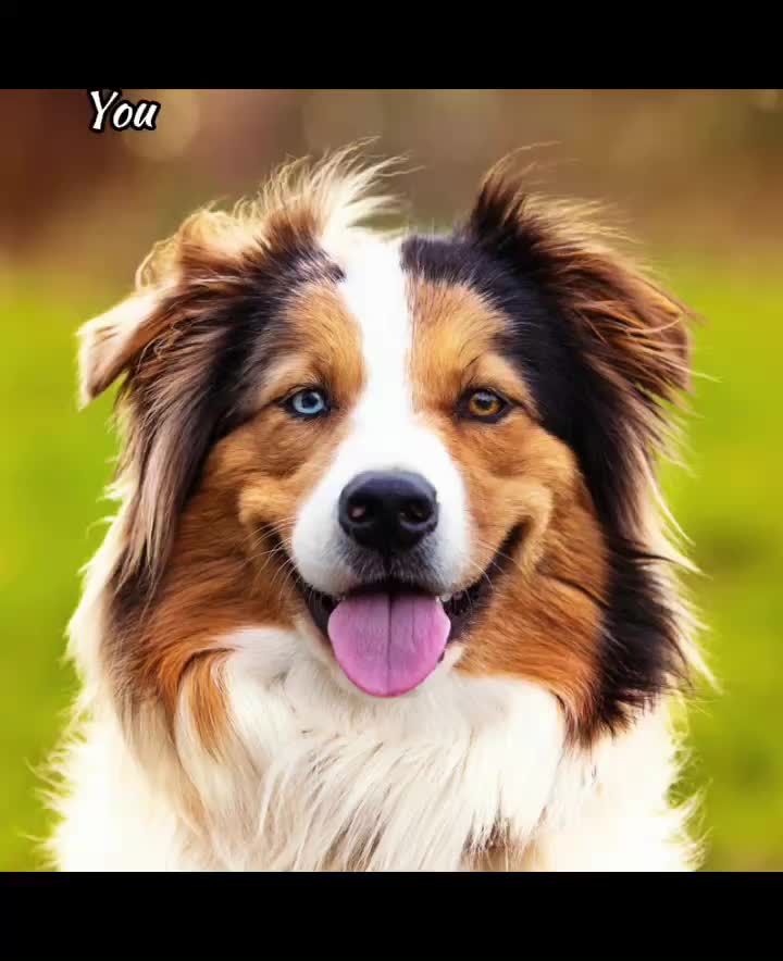 @AntiBrainRot