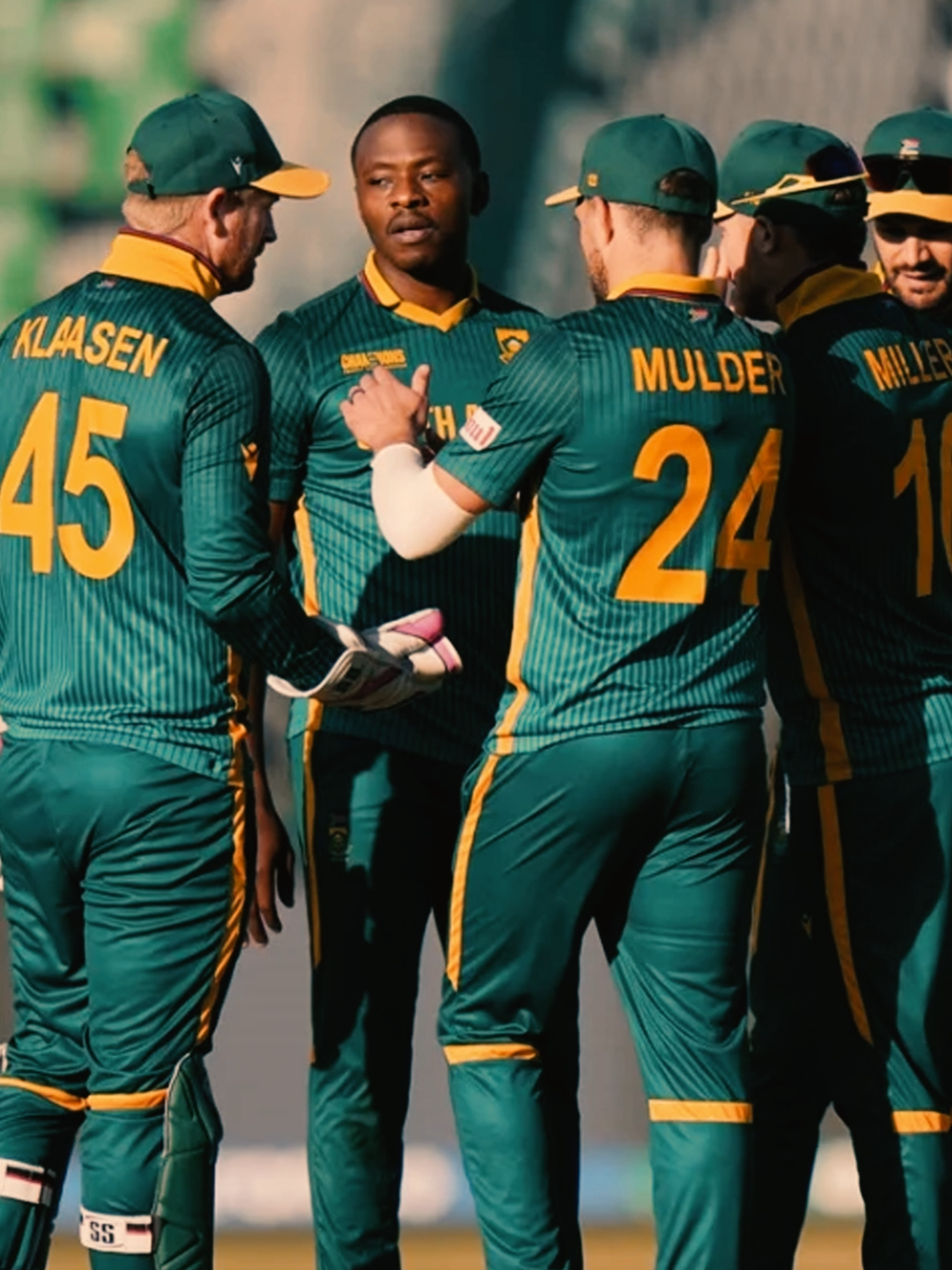 @Cricket Holic