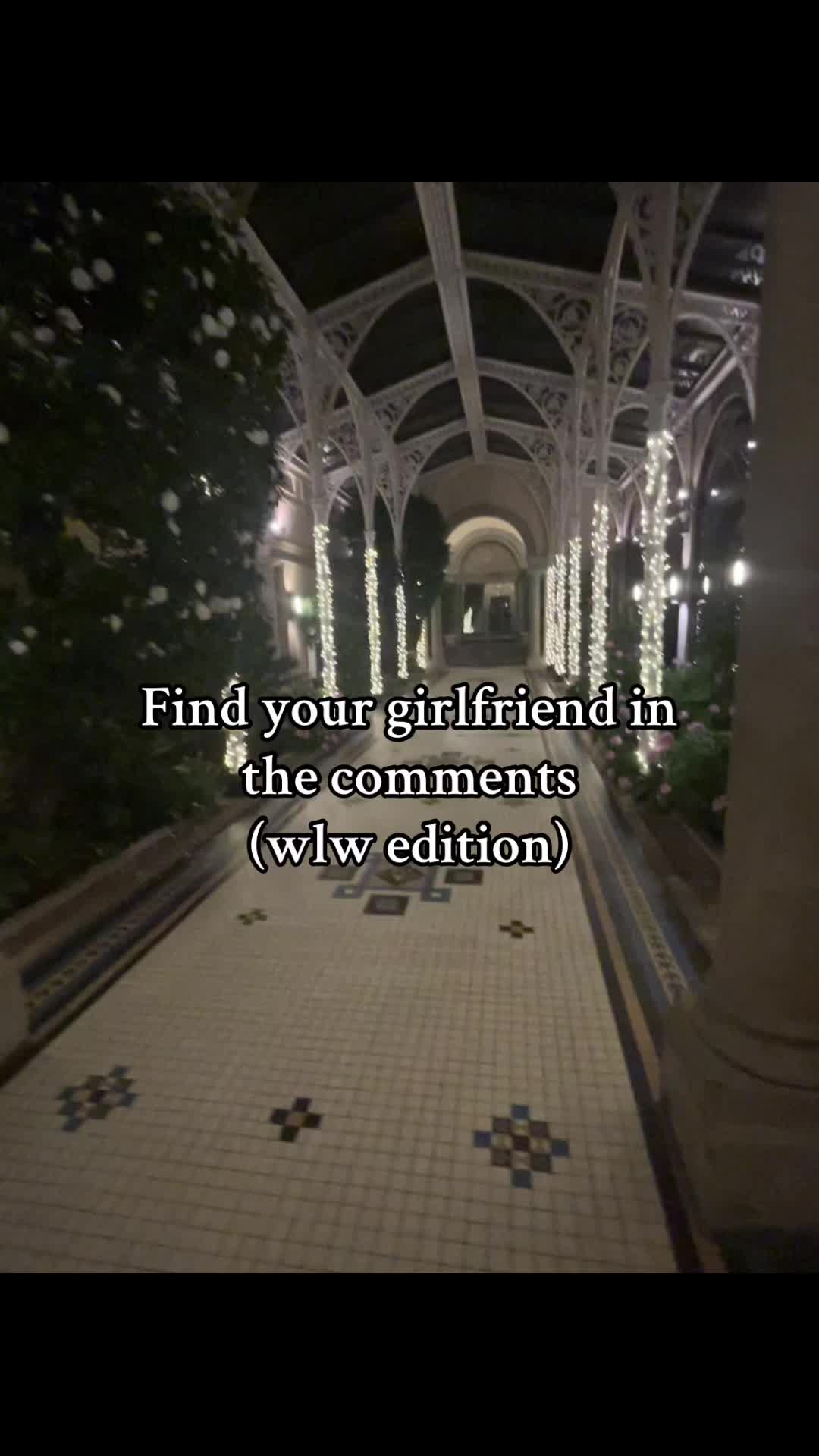 @wlwvide0s