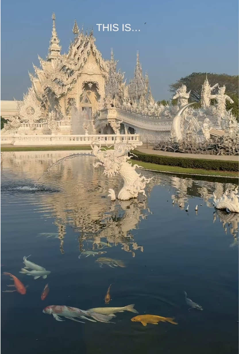 @lecuratedtravel