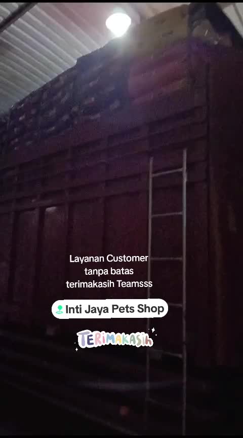 @intijayaps_official