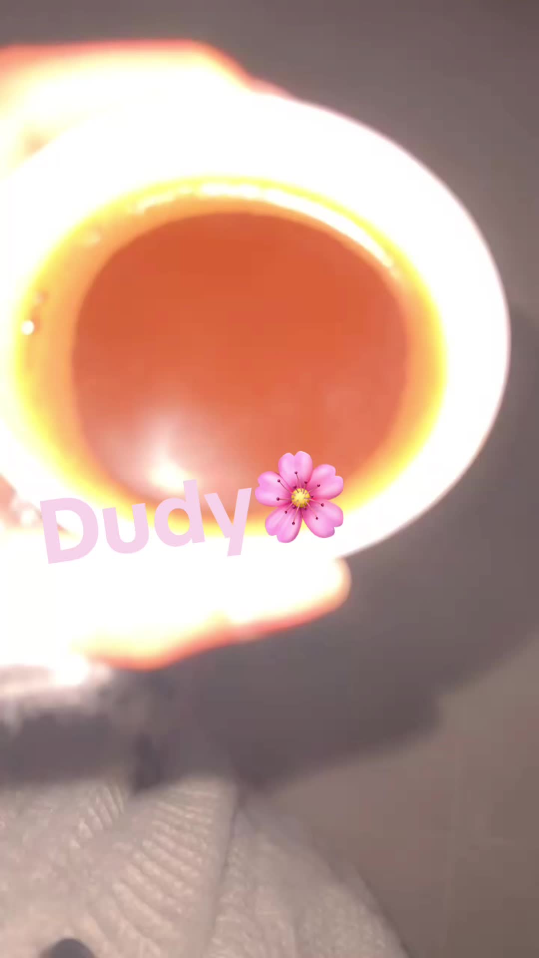 @DUDY_Z