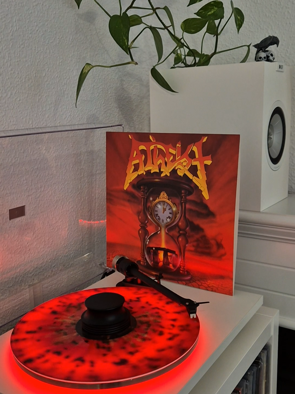 @r.vinylcollector
