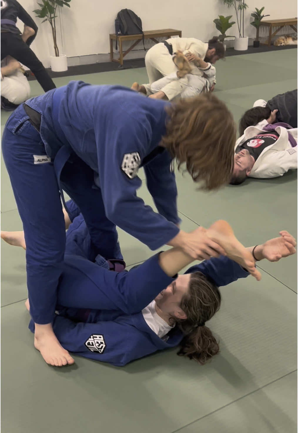 @@Kumitejiujitsu