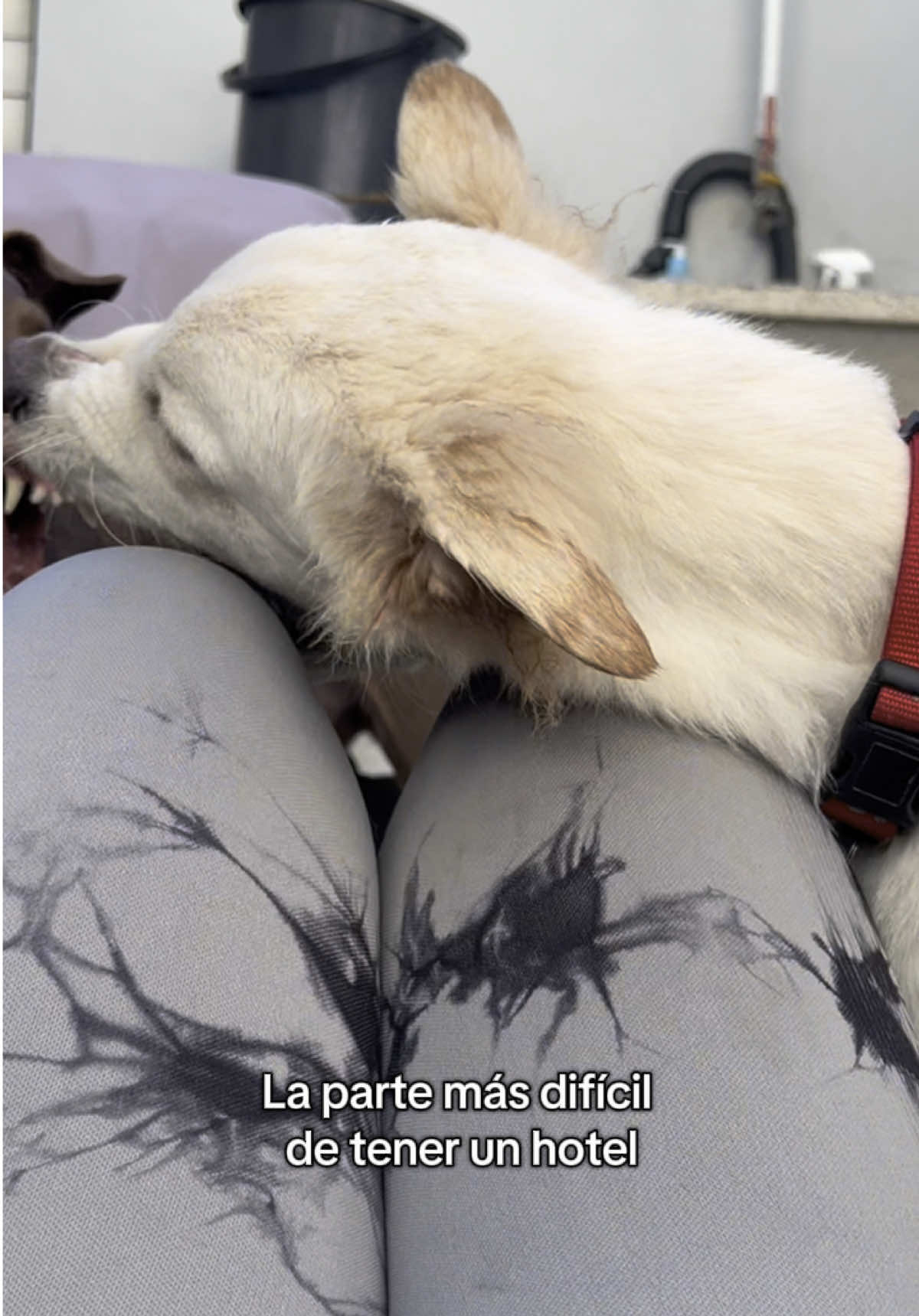 @Spaws