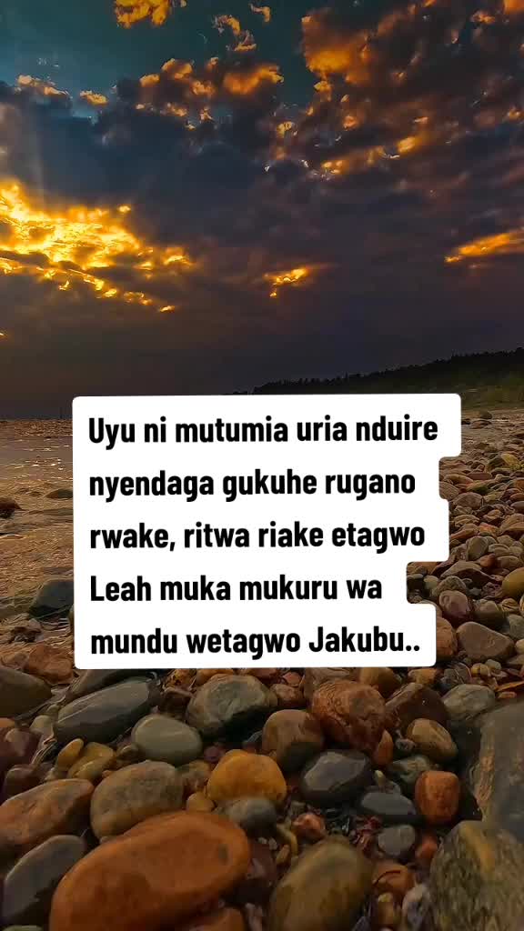 @Jeph Gathii