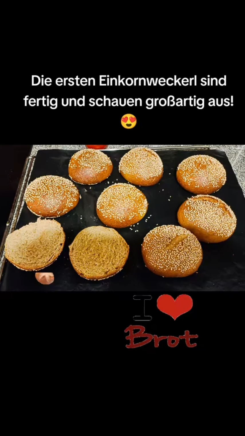 @Viennajeff