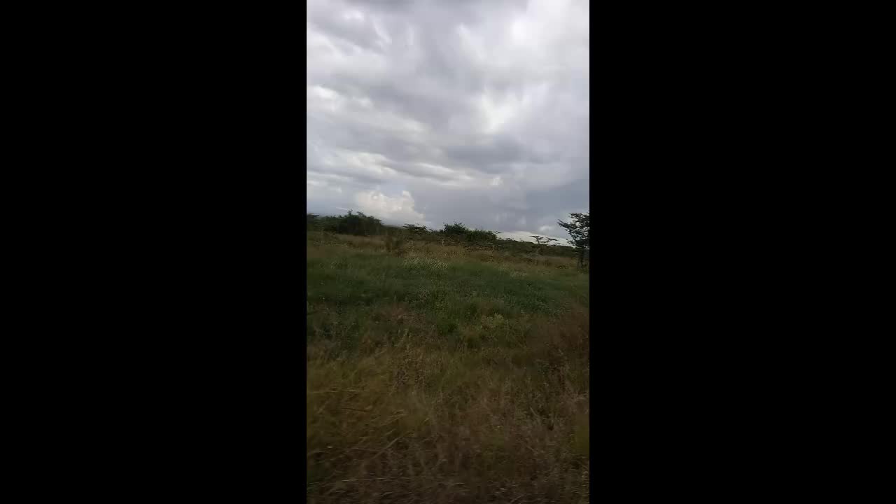 @bomafencingsolutions