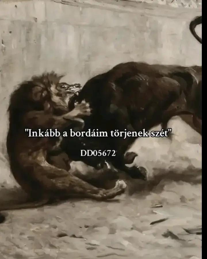 @@Vikike Ws Csabįka❤️🔥🥺