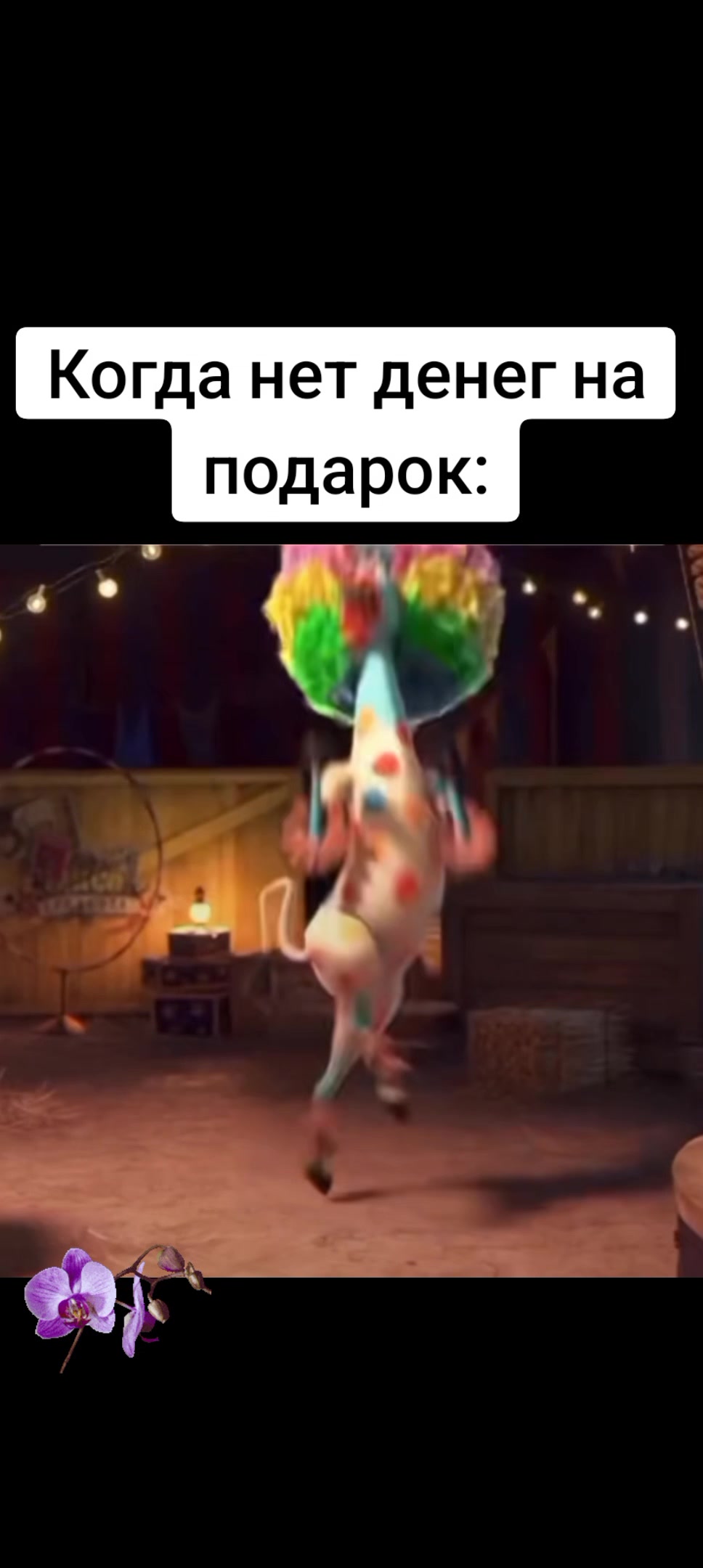 @𓆩Īɍīꞩħ Ȼꝋłⱥ𓆪