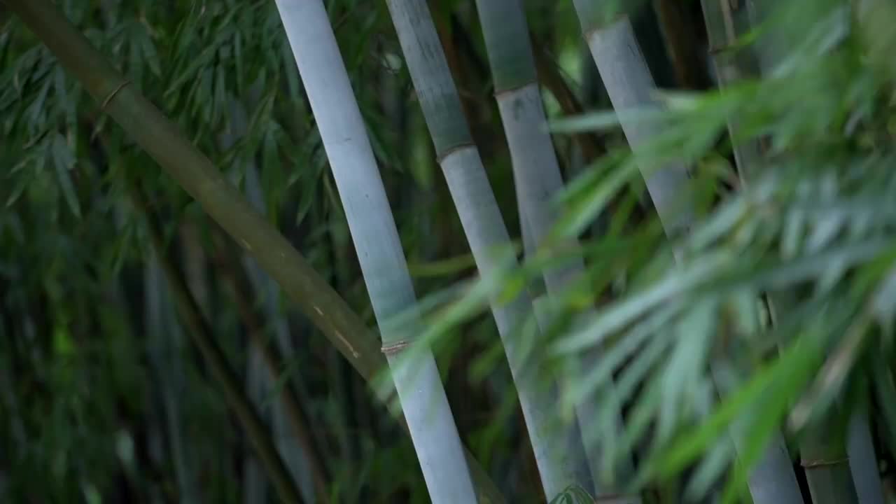 @jdbxiendlo