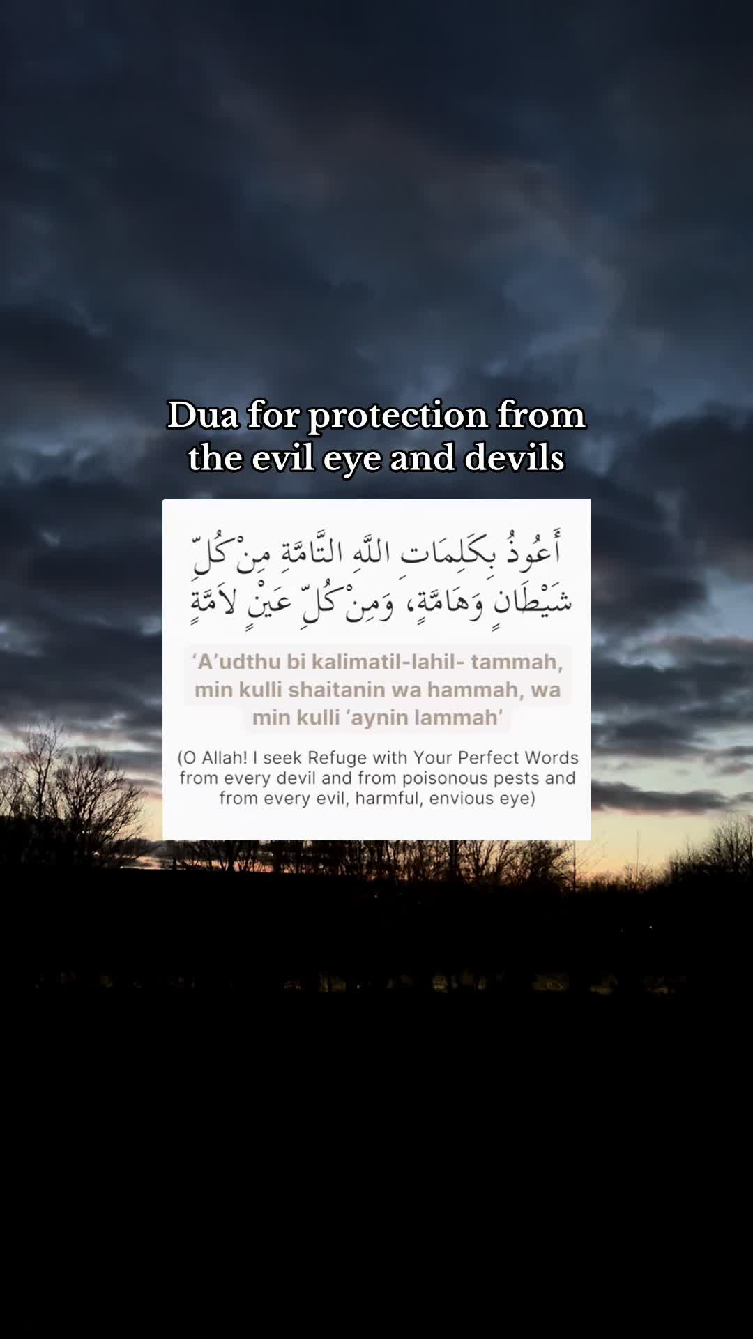 @islam.tiktok.dk