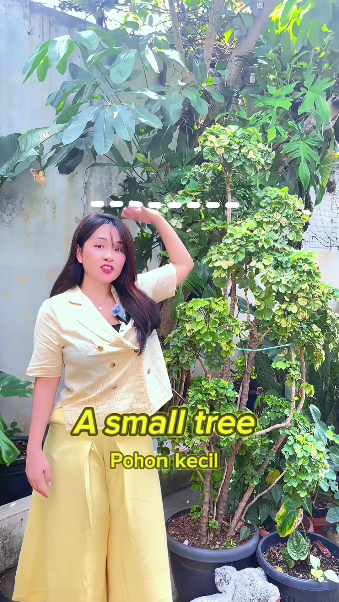 @Sunny Giraffe