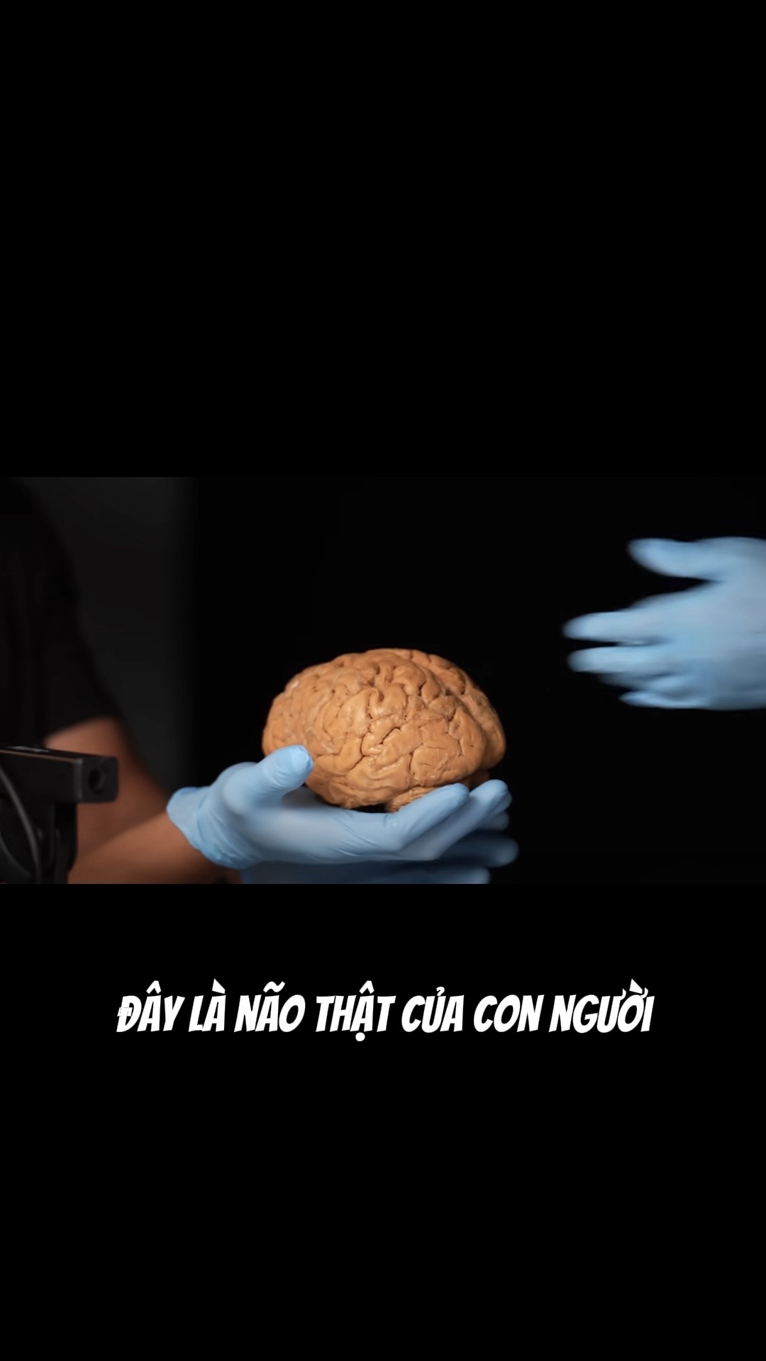 @Chiến Binh Thời Đại