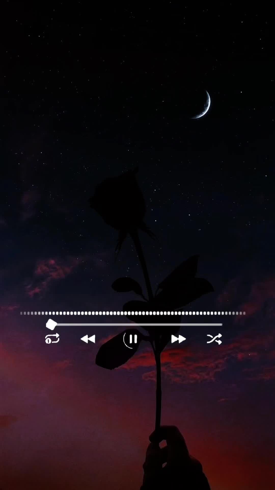 @Todo tipo de musica