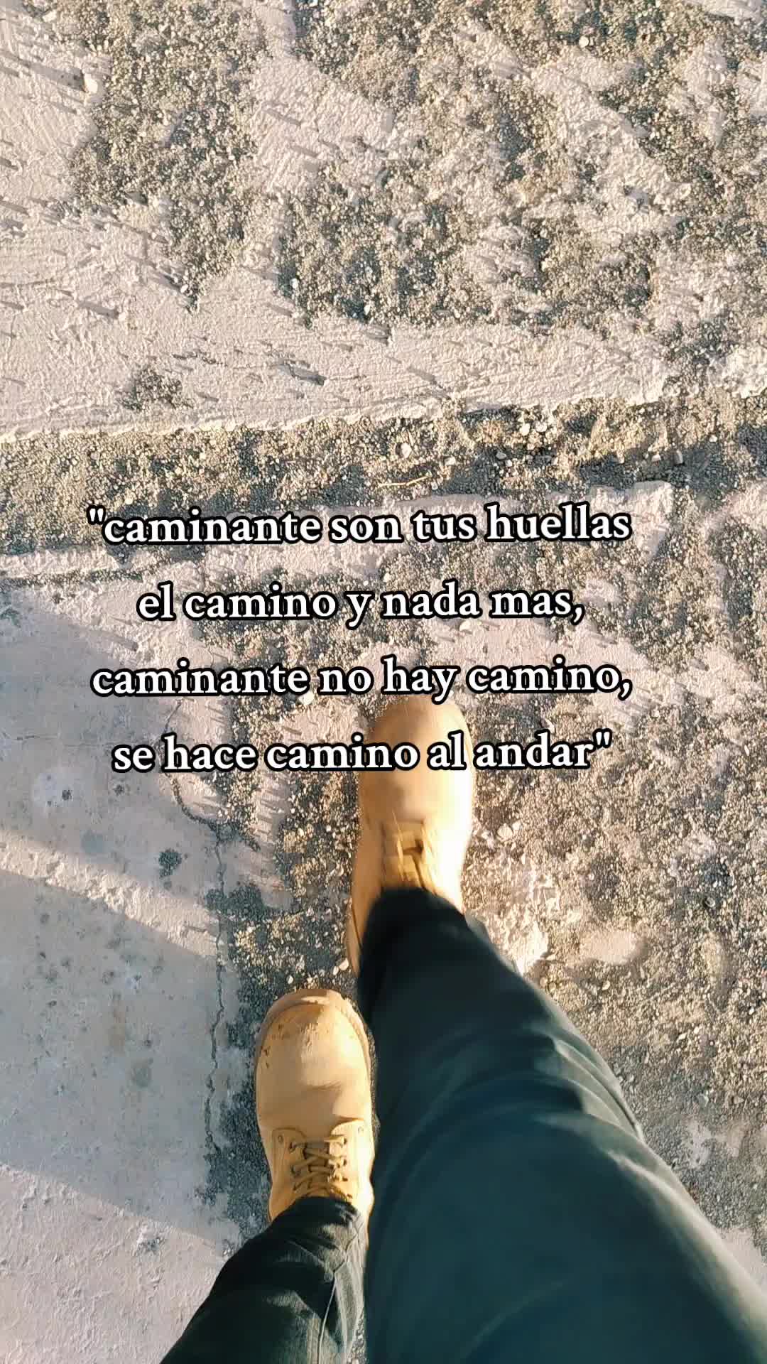 @joseluis
