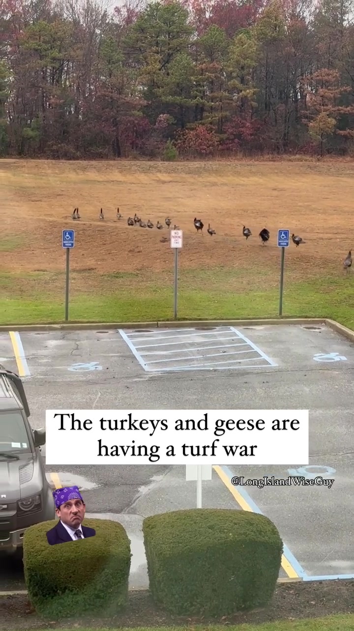 @longislandwiseguy
