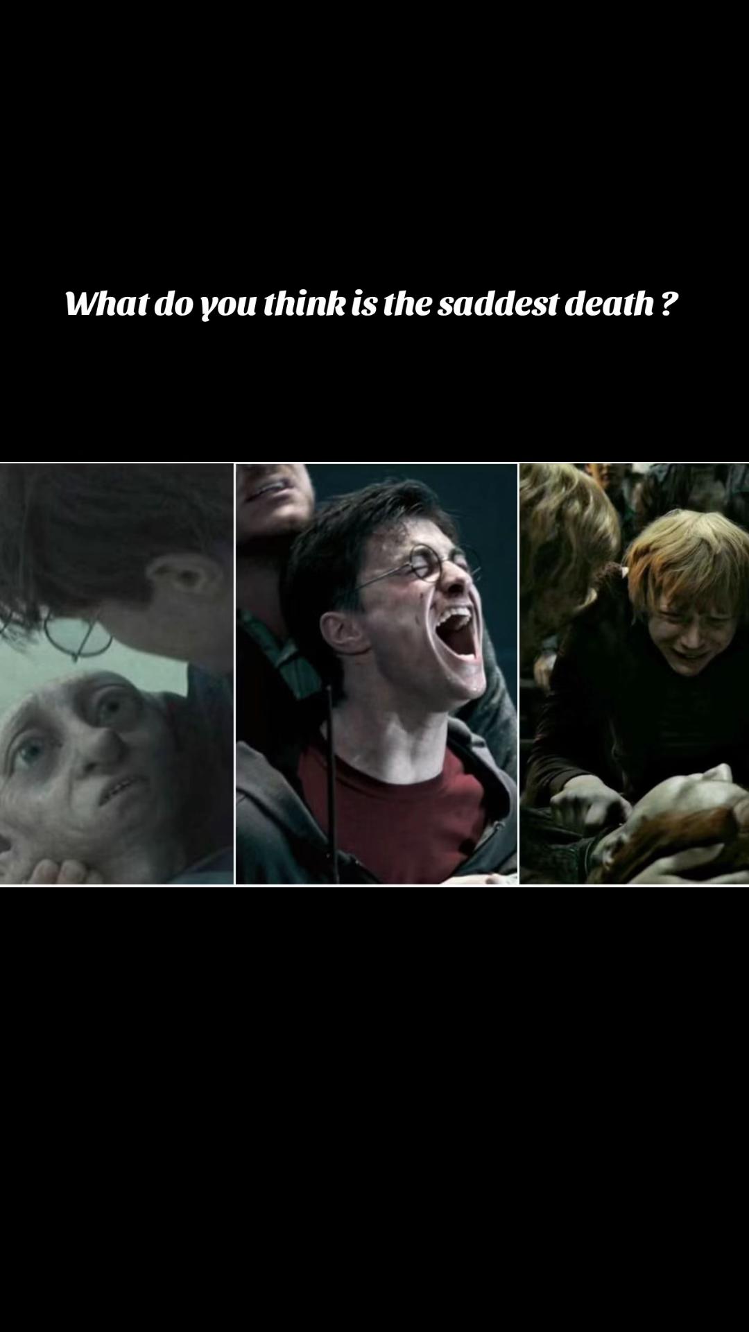 @Just a Potterhead 🫡