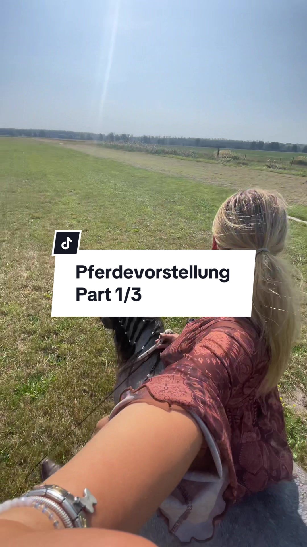@leannesponyteam