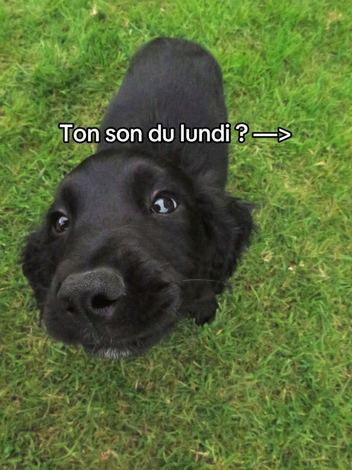 @Mario Soupault