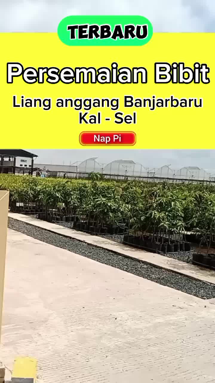 @Nap Pi